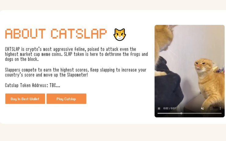 about catslap