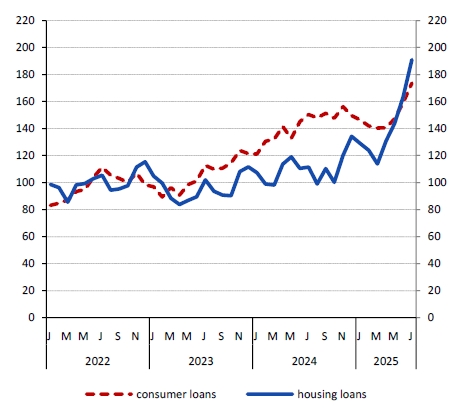 new_loans_hhs