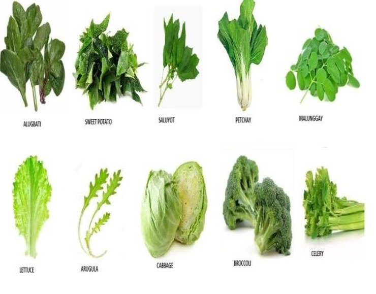 Πράσινα λαχανικά