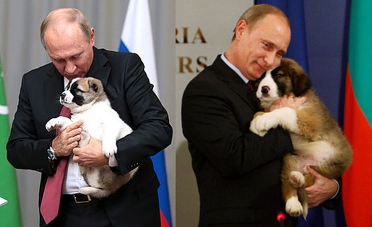 Πούτιν και άλλα δύο από τα σκυλιά του