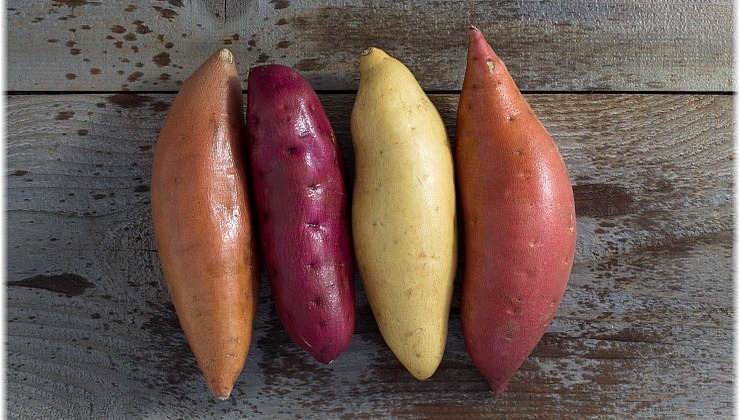 Γλυκοπατάτα: Η πιο... παρεξηγημένη υπερτροφή