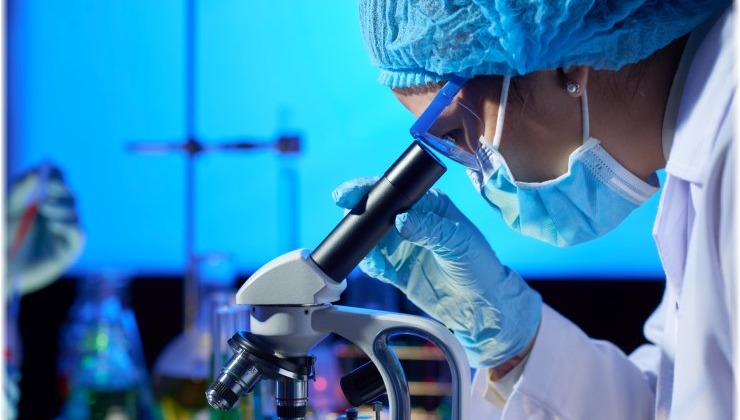 Εντυπωσιακή ανακάλυψη στη βιολογία της γήρανσης: Η στρατηγική επιβίωσης των κυττάρων