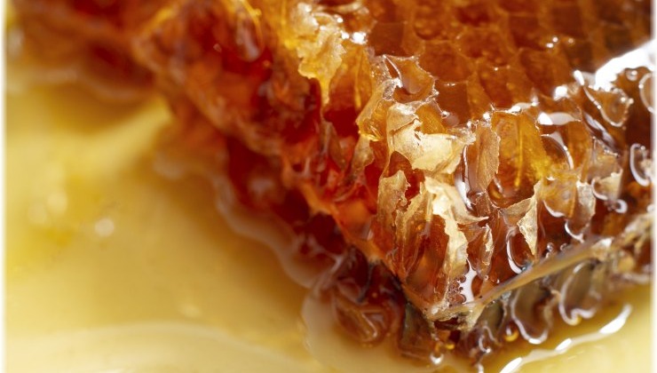 Στοιχεία-σοκ για το μέλι: Νοθεία 46% στην ΕΕ και έξαρση ελληνοποιήσεων