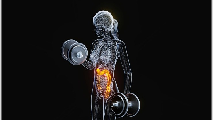 Βακτήριο του εντέρου ενισχύει τη μυϊκή δύναμη, χωρίς άσκηση!