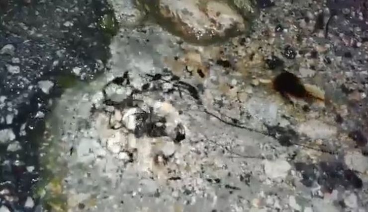 ÎναβλÏζει ÏεÏÏÎλαιο ÏÏη ÎάκÏ
νθο!