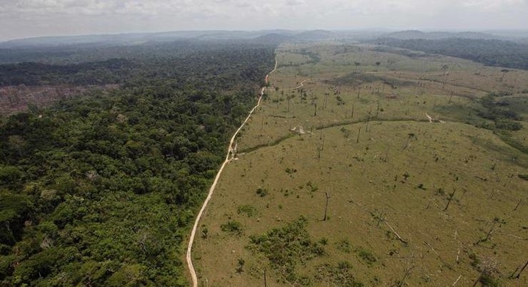Βραζιλία, αποψίλωση δασών
