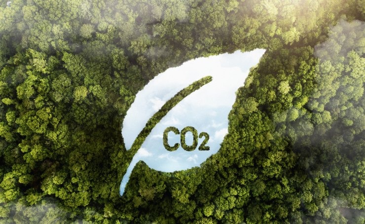 CO2, forest - Image by Freepik.com