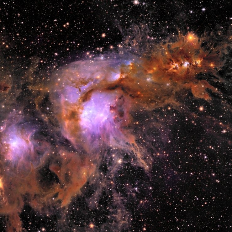φυτώριο αστεριών Messier 78 - Euclid - ESA