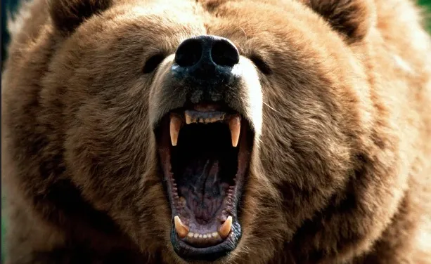 Bear market: Έξι λόγοι που θα επηρεάσουν τις αγορές