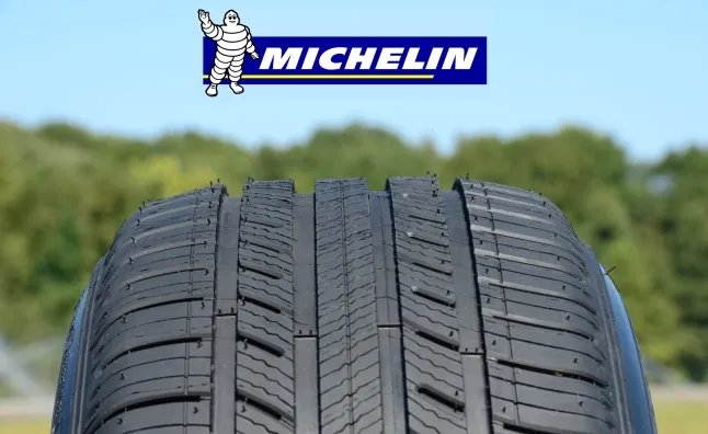 Συνεργασία WWF και Michelin για προμήθεια φυσικού καουτσούκ