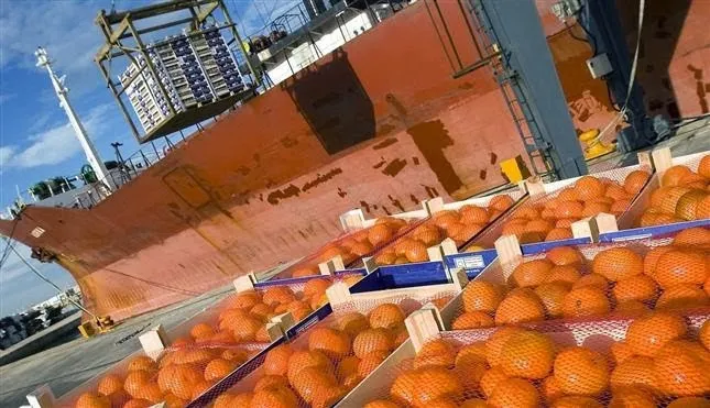 Δέσμευση 17,5 τόνων πορτοκαλιών