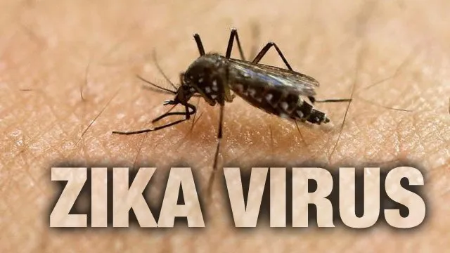 Σκέφτονται ακόμη και καραντίνα για τον Ζίκα