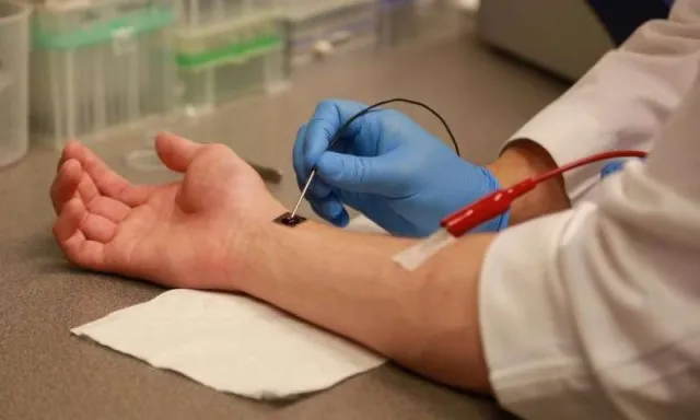 Nανοτσίπ αναγεννά όργανα με ένα απλό άγγιγμα!