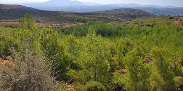 Πάνω από 300 εκ. ευρώ για την ανάπτυξη δασικών περιοχών