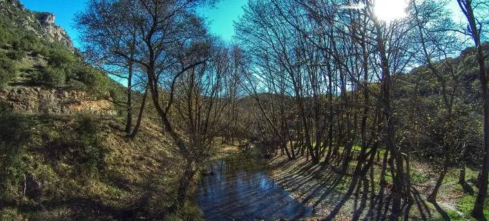 Σε δημόσια διαβούλευση το σχέδιο για τους νέους δασικούς χάρτες