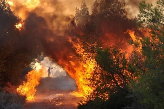 Σε εξέλιξη η καταγραφή ζημιών από την πυρκαγιά στον Ωρωπό