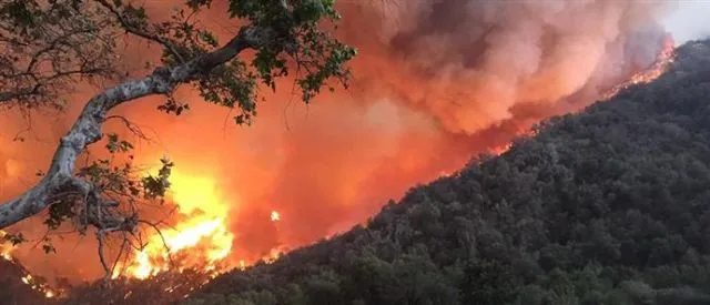 Πάνω από 1 εκατομμύριο στρέμματα έκαψαν οι φωτιές στην Πορτογαλία