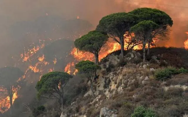 Πυρκαγιές πλήττουν σήμερα την κεντρική και τη νότια Ιταλία