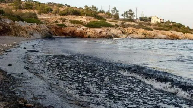 Συντονιστικό όργανο για τη διαχείριση της ρύπανσης