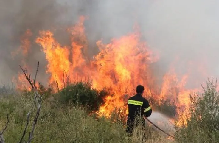 Αλεξανδρούπολη: Σε ύφεση η πυρκαγιά στο Εθνικό Πάρκο Δαδιάς-Λευκίμης-Σουφλίου