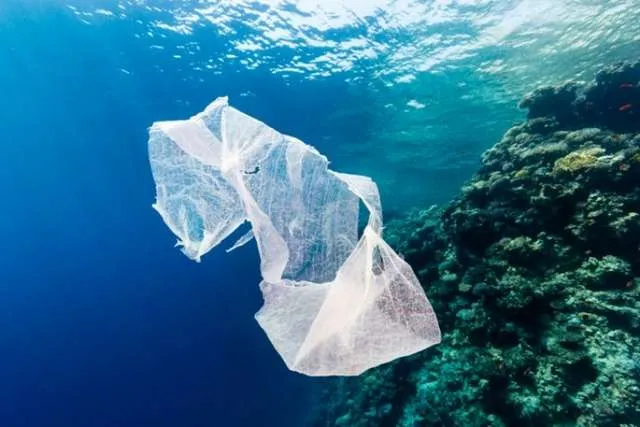 Πόσο πλαστικό έχει παραχθεί από το 1950;