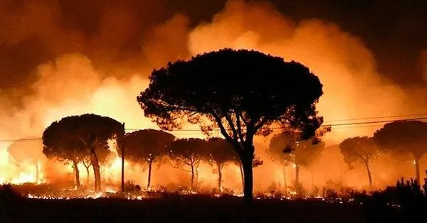 Μεγάλη φωτιά «καταπίνει» δάση στην Ισπανία