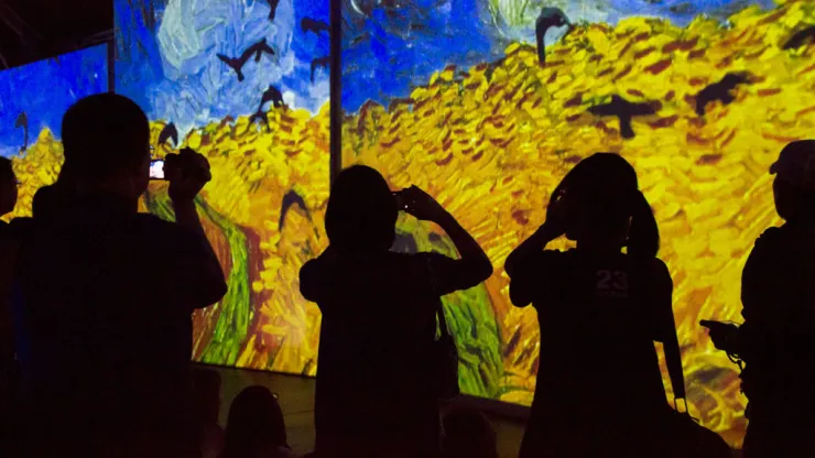 Van Gogh Alive Photography Contest/Awards
