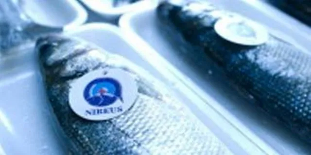 Νηρεύς-Σελόντα: Κατατίθενται σήμερα οι δεσμευτικές προσφορές