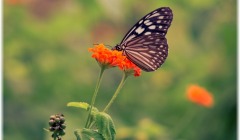 Το βαθύ «μάθημα ζωής» πίσω από τη Θεωρία του Χάους