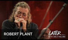 robert plant