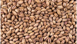 Σε υψηλό 8 ετών το φυστίκι "Αιγίνης" - Aλυσιδωτές επιπτώσεις στον κλάδο τροφίμων