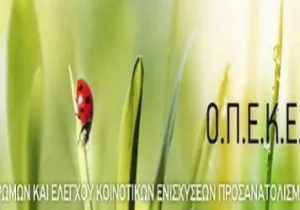 Τι προβλέπει ο νόμος που ψηφίστηκε για τους... Φραπέδες τους Χασάπηδες και τις Ferrari