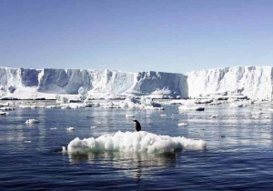  Ανταρκτική - Οι πάγοι λιώνουν σε ρυθμό ρεκόρ 