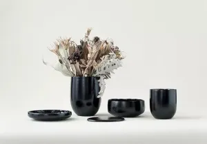 Kosuke Araki, Anima