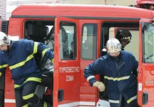 Φωτιά σε δασική έκταση στη Βοιωτία