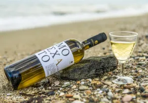 Μοσχάτο Άσπρο
