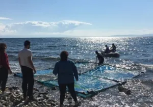 Plastic Litter Project
