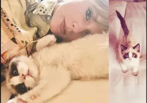 Taylor Swift, Benjamin Button
