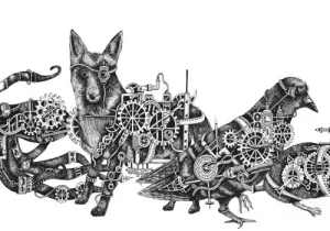 Animal-AI Olympics