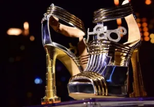 Moon Star Shoes