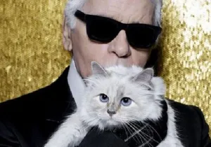 Choupette, Karl Lagerfeld