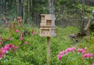 Bee Home