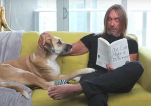 "Bedtime Stories" από τον Maurizio Cattelan με Iggy Pop, David Byrne και Michael Stipe