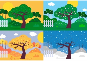 Πώς μία εποχιακή επιχείρηση μπορεί να μένει κερδοφόρα όλο τον χρόνο