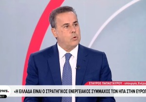 Παπασταύρου: Eξελιχθήκαμε σε σταθερό, αξιόπιστο και, τελικά, αποτελεσματικό σύμμαχο των ΗΠΑ 
