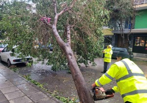 Θεσσαλονίκη: Πτώσεις δέντρων με ζημιές σε σταθμευμένα αυτοκίνητα από την κακοκαιρία