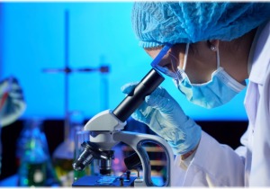 Εντυπωσιακή ανακάλυψη στη βιολογία της γήρανσης: Η στρατηγική επιβίωσης των κυττάρων