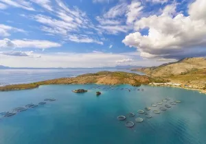 Η Cooke προχωρά σε προκαταρκτική συμφωνία για την απόκτηση χρέους της Avramar