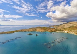 Η Cooke προχωρά σε προκαταρκτική συμφωνία για την απόκτηση χρέους της Avramar