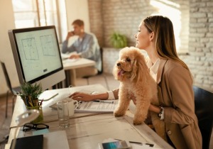 Pet-friendly εργασία: 64% των Ελλήνων θα άλλαζε δουλειά για να έχει μαζί το κατοικίδιό του